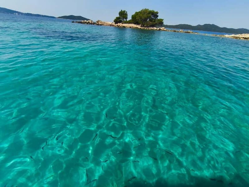 Private Elafiti Boat Tour- Visit Blue Cave and beach Sunj - Authentic Experiences from Reviews
