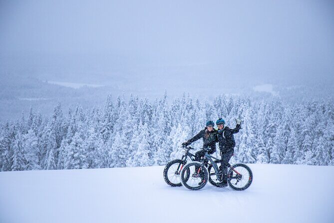 Private Electric Fat Bike Winter Tour in Rovaniemi - Experience Rovaniemi’s Winter Wonderland on a Private Electric Fat Bike Tour