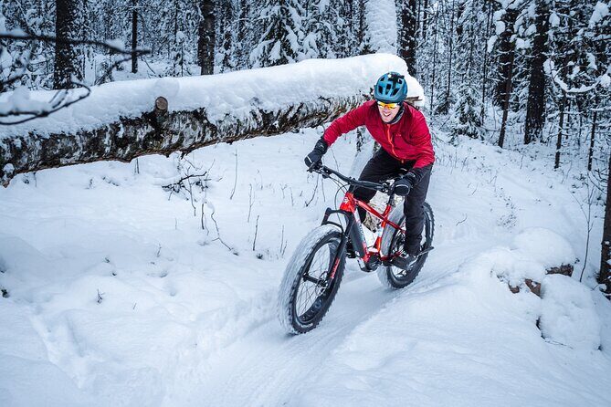 Private Electric Fat Bike Winter Tour in Rovaniemi - Key Points