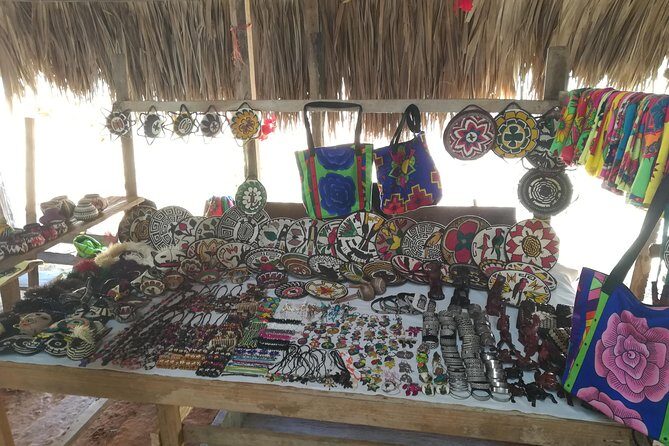 Private Embera tribe Experience (waterfall with Lunch included) - Introduction: What You Need to Know About the Embera Tribe Experience