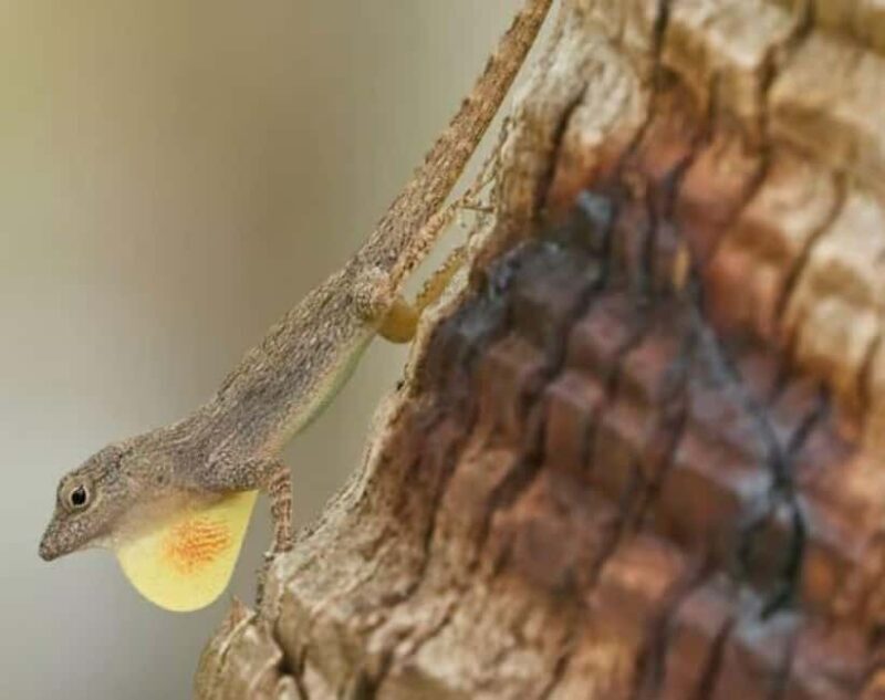 Private: Emerald Coast Mountain Escape from Punta Cana - An Honest Look at the Experience