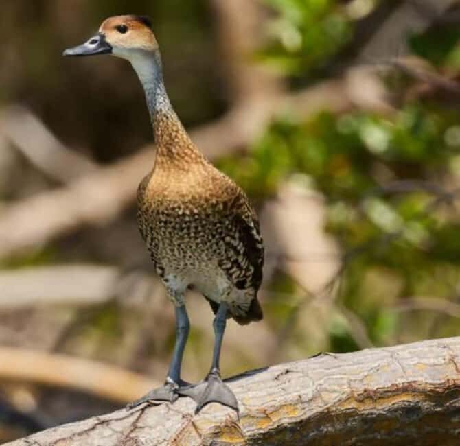 Private: Emerald Coast Mountain Escape from Punta Cana - Final Thoughts