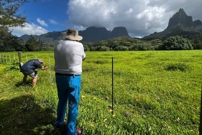 Private EN photo tour in Moorea, tour & workshop class - Frequently Asked Questions