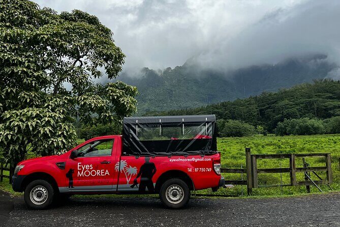 Private EN photo tour in Moorea, tour & workshop class - Final Thoughts