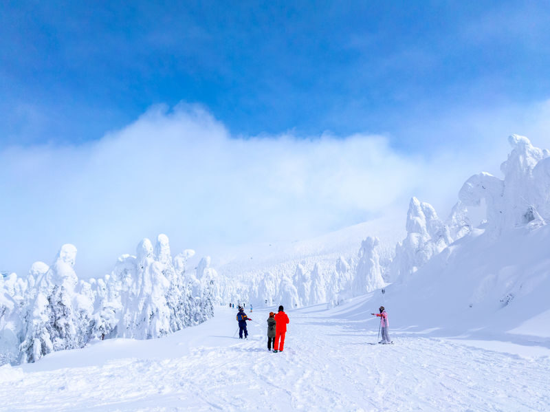 Private English and Chinese ski lessons and photography services at Zao Onsen Ski Resort - A Few Details to Sort Out in Advance