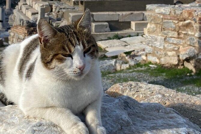Private Ephesus and Artemis Temple Half Day Tour / On Time Return - Final Thoughts
