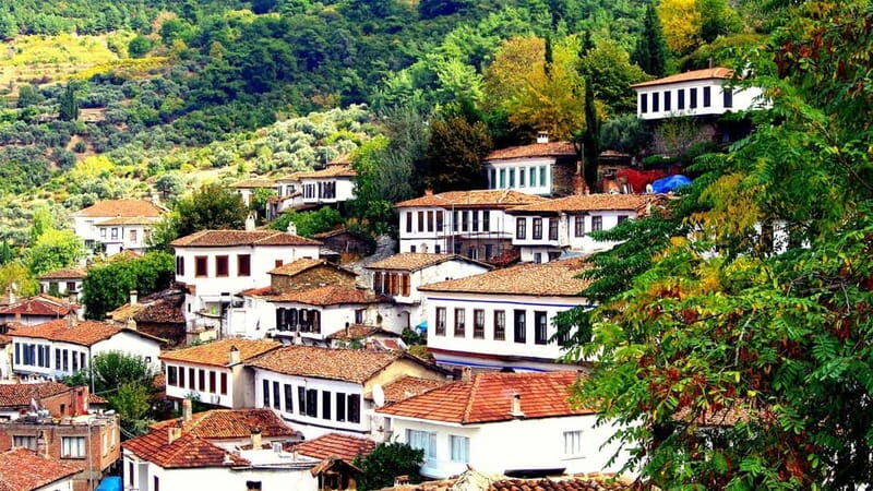 Private Ephesus and Sirince Village Tour Cruiser Only - The Sum Up