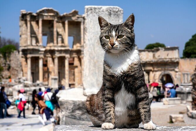 Private Ephesus Tour from Kusadasi - Who Is This Tour Best For?