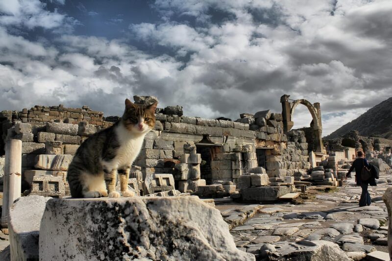 Private Ephesus,irince,Virgin Marry House Tour - Frequently Asked Questions