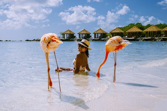 Private Essential Tour of Aruba - Exploring the Highlights of Aruba in a Half Day