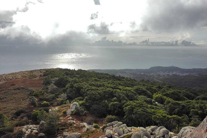 Private Evening Walk Inside the Forest: "Sintra Mountains Inbetween Wolves" - Is This Tour for You?