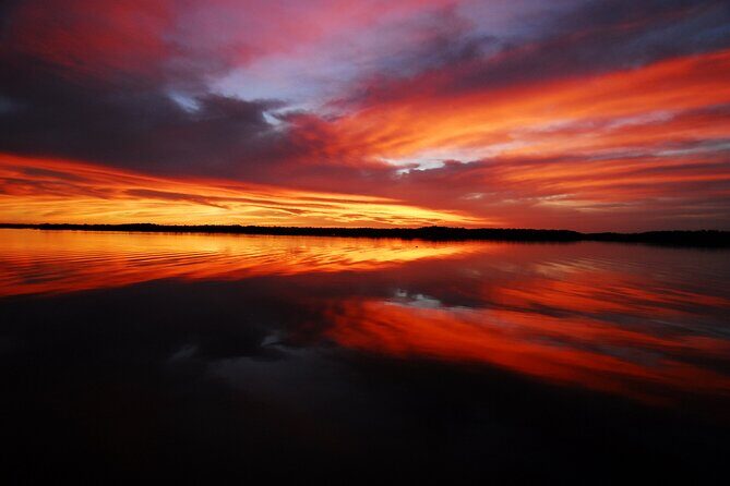 Private Everglades 10,000 Islands Photo and Birding Boat Safari - Key Points