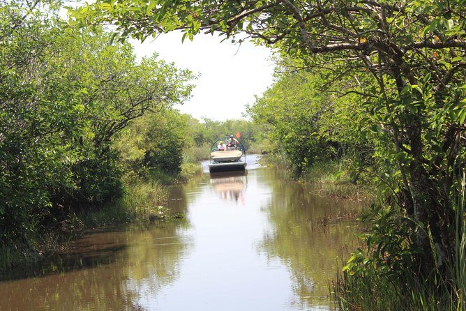 Private Everglades Airboat Tour including hotel pick up and Everglades specialist - The Value of a Private Guided Tour