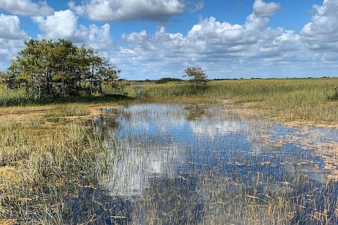 Private Everglades Tour: Explore the Beauty of the Everglades - Why This Tour Offers Value