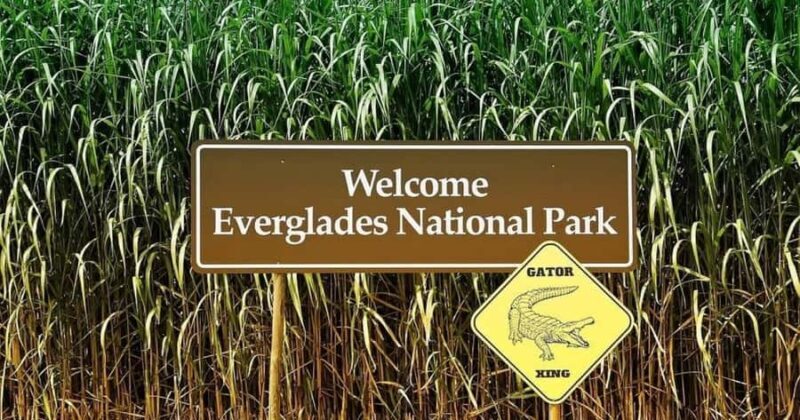 Private Everglades Tour:Explore the Beauty of the Everglades - A Detailed Look at the Everglades Private Tour