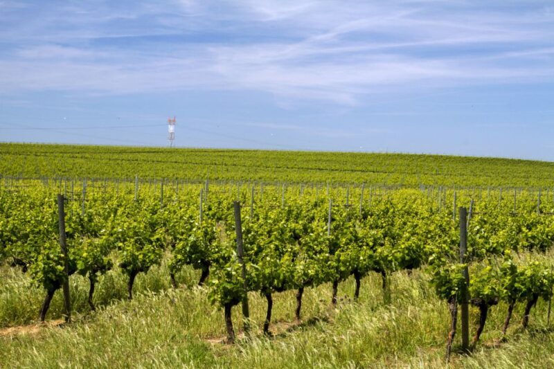 Private Évora World Heritage Tour from Lisbon - FAQ