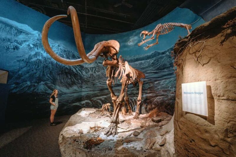 Private Exclusive Drumheller Tour with Royal Tyrrell Museum - Analyzing the Value