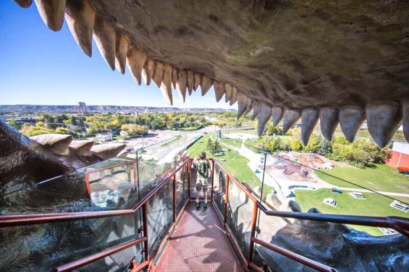 Private Exclusive Drumheller Tour with Royal Tyrrell Museum - The Sum Up