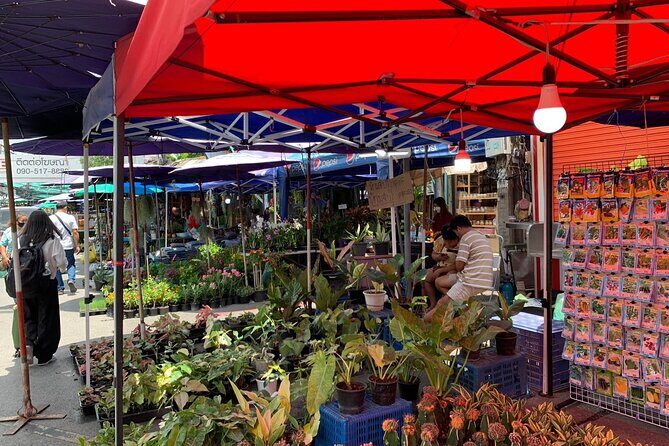 Private Exclusive Guided Chatuchak Weekend Market Shopping Tour - Practical Details and Considerations