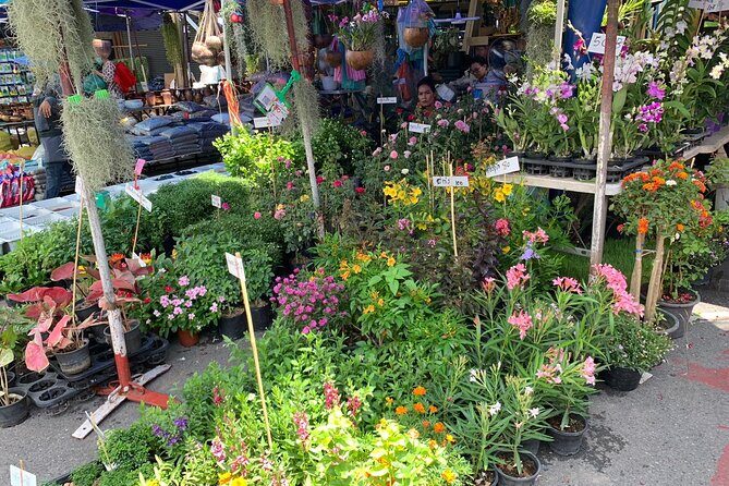 Private Exclusive Guided Chatuchak Weekend Market Shopping Tour - Who Will Love This Tour?