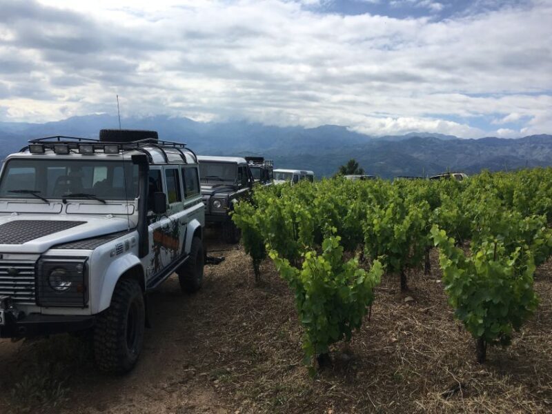 Private Exclusive Manousakis Winery and Vineyard Tour - Off-Road Vineyard Adventure