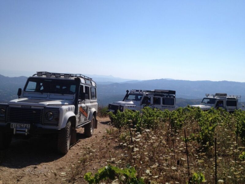 Private Exclusive Manousakis Winery and Vineyard Tour - Practical Details and Tips