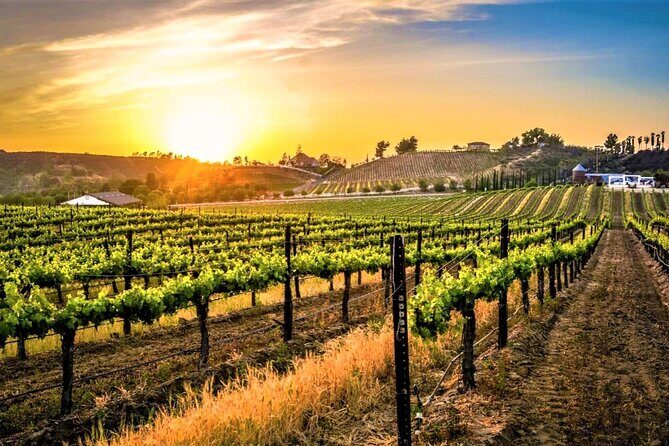 Private Excursion from Orange County Including Lunch + Tastings - Key Points