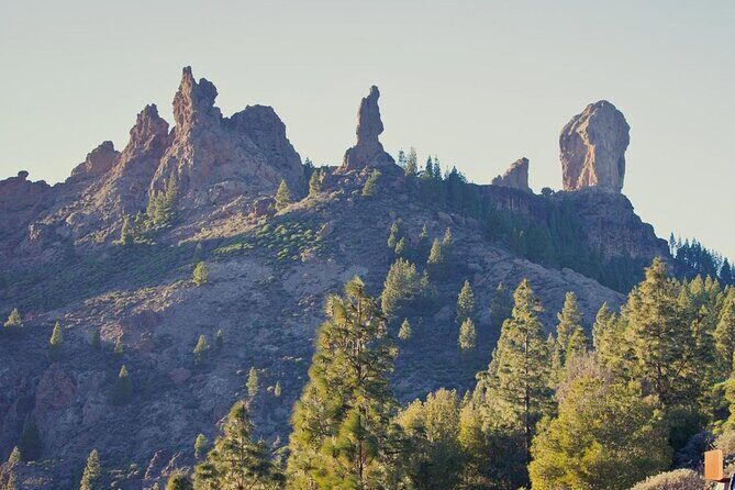 Private Excursion The mountains of Gran Canaria for 2 to 4 people - The Experience We Expect