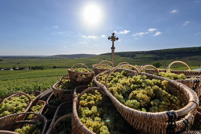 Private excursion to Côte de Beaune and Côte de Nuits (full day) - A Deep Dive into Burgundy’s Finest: Private Full-Day Tour of Côte de Beaune and Côte de Nuits