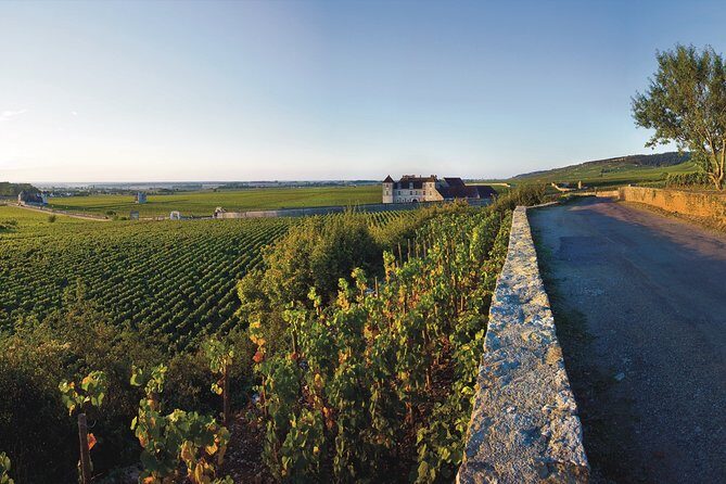 Private excursion to Côte de Beaune and Côte de Nuits (full day) - Value and Practical Considerations