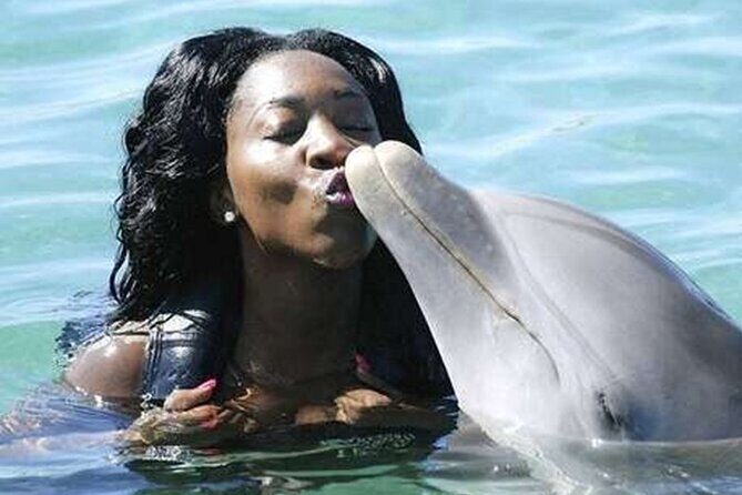 Private Excursion to Mystic Mountain and Dolphin Cove - Who Should Consider This Tour?