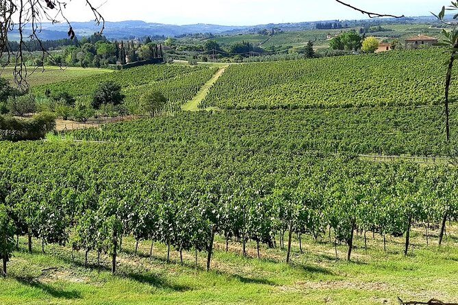 PRIVATE EXCURSION: Visit Siena & Chianti with lunch and tastings - FAQs