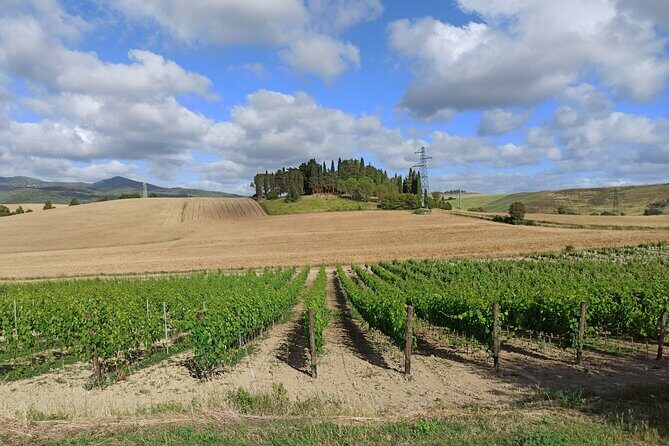 PRIVATE EXCURSION: Visit Siena & Chianti with lunch and tastings - In The Sum Up