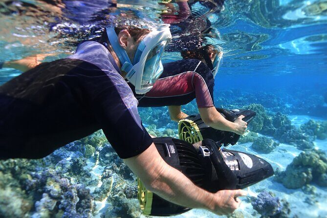 Private Excursion with E-Board in Moorea with snorkeling - Final Thoughts