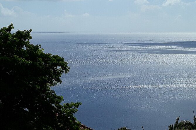 Private excursions à la carte in Martinique - Key Points