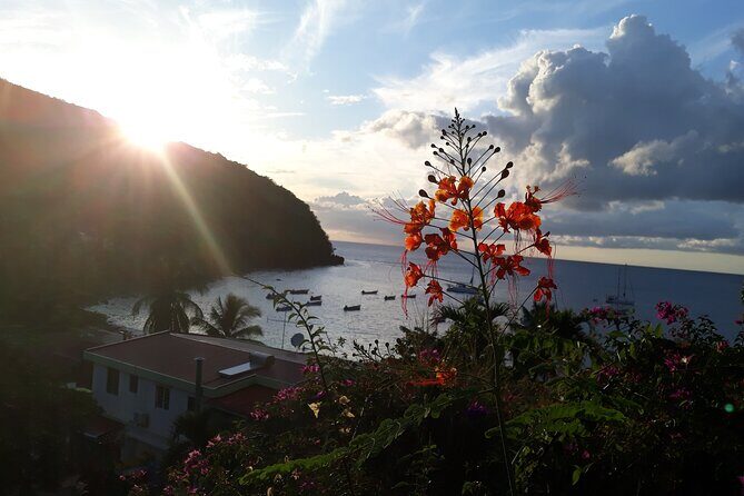 Private excursions à la carte in Martinique - Deep Dive into the Experience