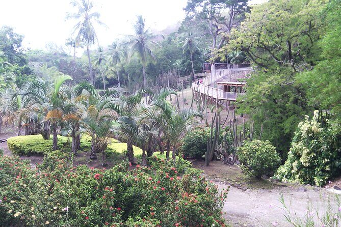 Private excursions à la carte in Martinique - Who Should Consider This Tour?