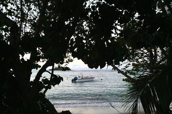 Private excursions à la carte in Martinique - FAQ