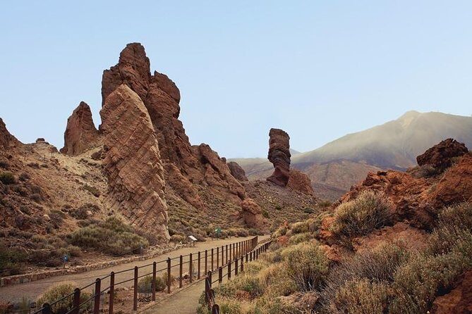 Private Excursions For Cruise Ship Passengers - Exploring Tenerife with Your Private Guide