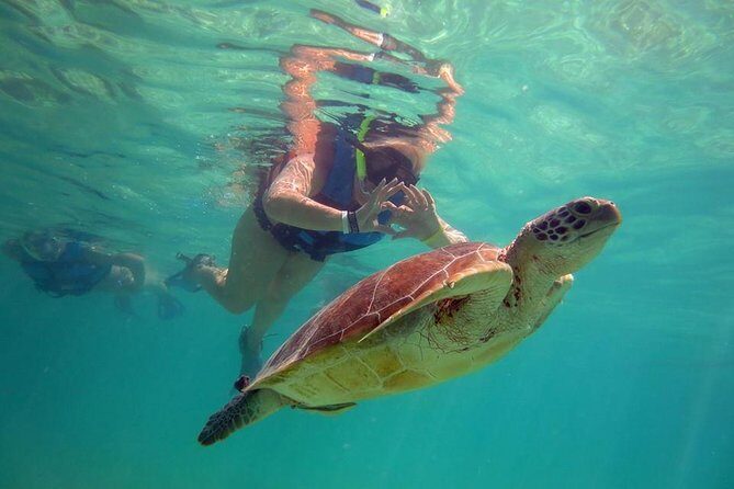 Private Experience: Akumal sea turtles encounter and Yal-kú lagoon colorfull fish snorkel. - What Reviewers Say: Authentic Experiences and Friendly Guides