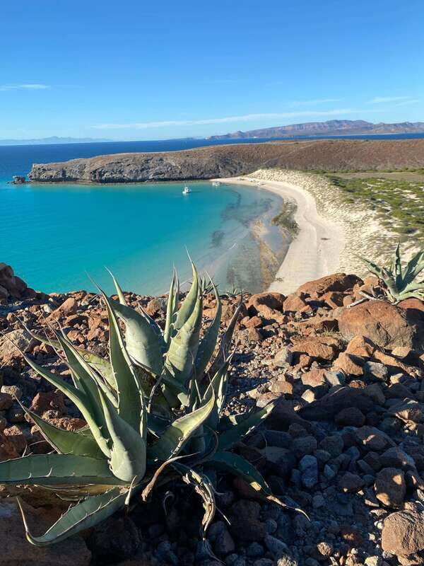 Private experience from Los Cabos to La Paz: (Balandra) - Discover Baja California Sur: A Private Day Trip from Los Cabos to La Paz