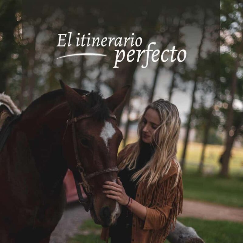 Private Experience: Horseback Riding and BBQ in the Mountain - Estancia La Carrera - Key Points