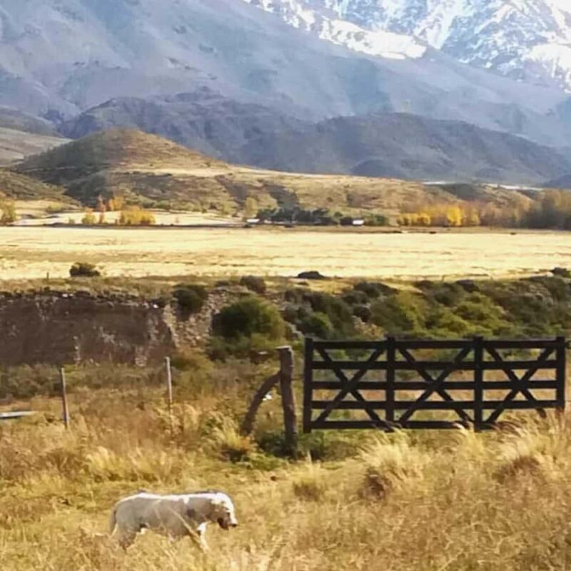 Private Experience: Horseback Riding and BBQ in the Mountain - Estancia La Carrera - Final Thoughts