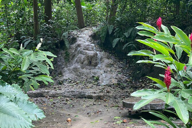 Private Experience in the Botanical Garden of Carthagena - Key Points