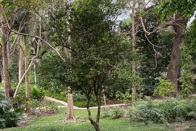 Private Experience in the Botanical Garden of Carthagena - A Deep Dive into the Cartagena Botanical Garden Tour