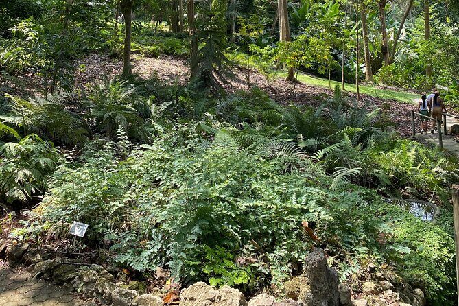 Private Experience in the Botanical Garden of Carthagena - Final Thoughts