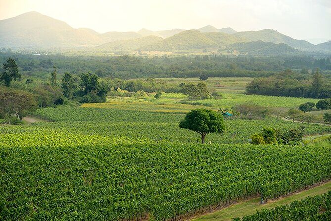 Private Experience of Wine Tasting Hua Hin in Monsoon Valley - Frequently Asked Questions
