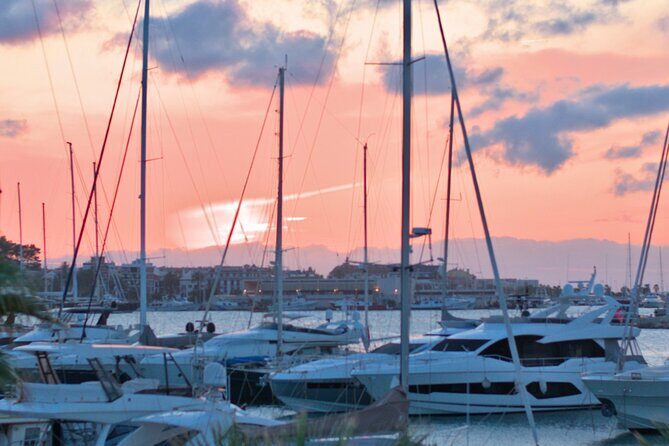 Private Experience Painting and Gastronomy in Denia Sea Sunset - Final Thoughts