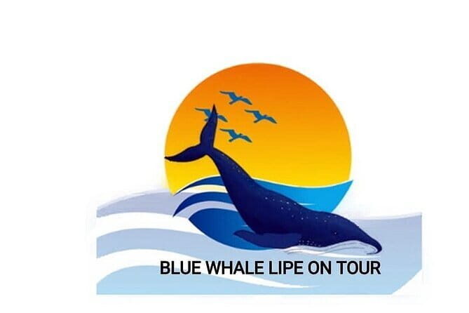 Private Experience with Fishing, Barbeque, Sashimi and Snorkeling - Exploring the Details of the Private Ko Lipe Fishing, Snorkeling, and BBQ Tour