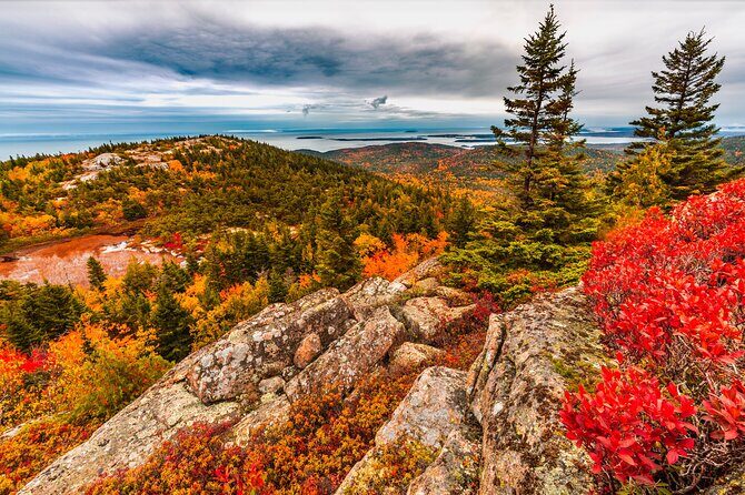Private Exploration Tour of the Top Spots of Acadia - Key Points